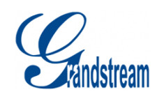 GrandStream Partner